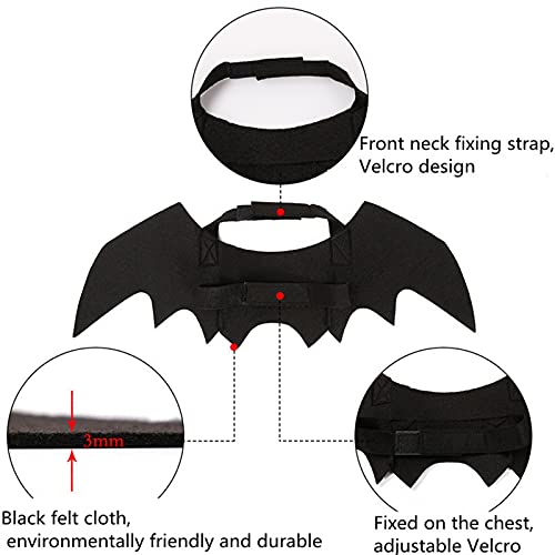 Jun7L Decoraciones de Halloween Cat Harness Lindo Pet Pet Pet Cat May Wins (Color : 1pc)