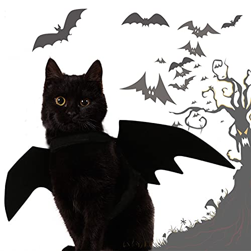 Jun7L Decoraciones de Halloween Cat Harness Lindo Pet Pet Pet Cat May Wins (Color : 1pc)