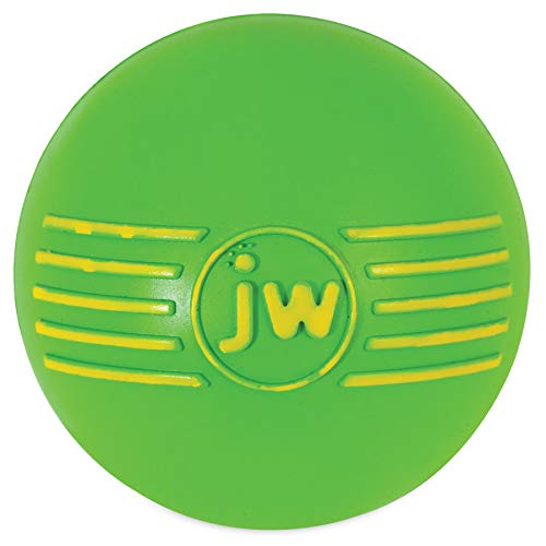 JW JW43031 Juguete Isqueak Ball Madium, Pelota De Goma Gruesa para Perros, M