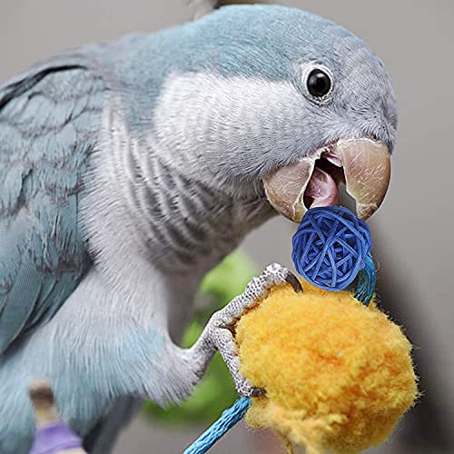 JZK 7 Piezas de Juguetes para Loros de pájaros, 1 Columpio de ratán de Vid de pájaro + 1 Juguete Colgante de Loro + 5 Bolas de Juguete para cacatúas, Conure, pinzones, Loros, agapornis