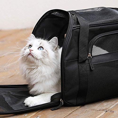 Kaka mall Transportín Perro Gato Transpirable Plegable Pet Carrier Impermeable Bolso de Hombro Acolchado Suave Viaje Avion Tren o Auto por Pequeños Mascota (Negro, L)