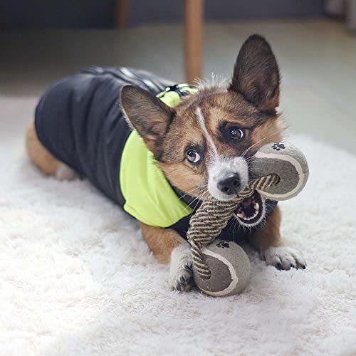 KALUO Limpiador de dientes resistente a la mordedura para cachorros de tenis con mancuernas para dientes de molienda de suministros para mascotas, juguete para masticar juguete para perros