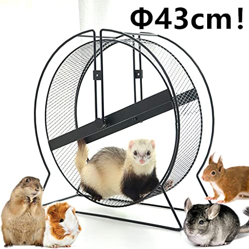 KELITINAus Rueda de Ejercicios de Hámster, 43 cm Metal Pet Pet Pet Mude Rueda de Mude, Adecuado para Hurón, Ardillas, Conejillo de Indias, Marmota