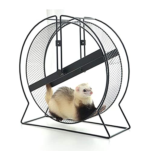 KELITINAus Rueda de Ejercicios de Hámster, 43 cm Metal Pet Pet Pet Mude Rueda de Mude, Adecuado para Hurón, Ardillas, Conejillo de Indias, Marmota