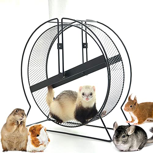 KELITINAus Rueda de Ejercicios de Hámster, 43 cm Metal Pet Pet Pet Mude Rueda de Mude, Adecuado para Hurón, Ardillas, Conejillo de Indias, Marmota