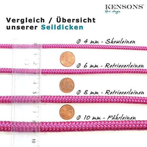 KENSONS for dogs Correa para el cuello con mosquetón pequeño para silbato o llaves, color rosa