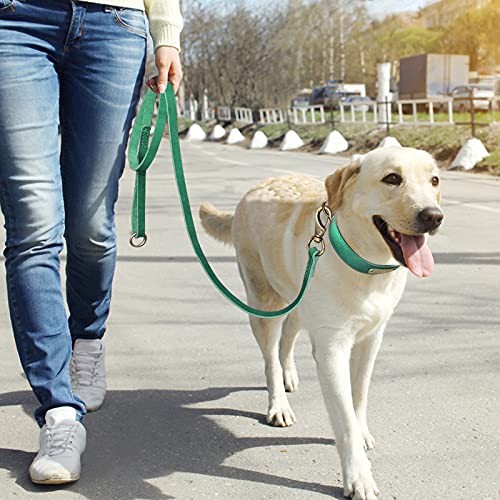 KIFFAY Correa de Cuero para Perro de 150 cm, Correas de Entrenamiento para Caminar para Mascotas, Cuero Genuino para Pastor alemán, Golden Retriever, Perros medianos Grandes