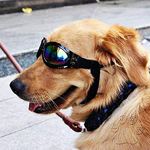 KIRALOVE Gafas de Sol Plegables para Perros - Primavera - elástico - Verano - Ajustable - protección uv400 - otoño Negro - Invierno - Idea de Regalo Original