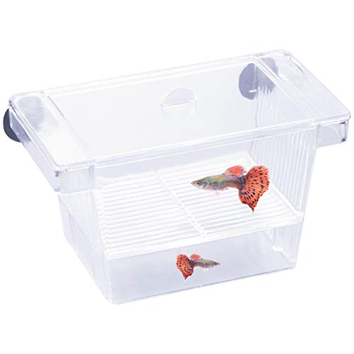 kissral Incubadora para Peces Caja de Cría Peceras Pequeña Acuarios Accesorios con Tapa de Plástico Ventosa Caja de Plástico Transparente para Camarón Tortuga