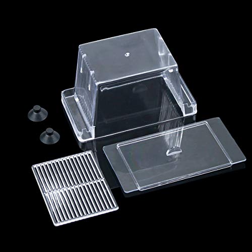 kissral Incubadora para Peces Caja de Cría Peceras Pequeña Acuarios Accesorios con Tapa de Plástico Ventosa Caja de Plástico Transparente para Camarón Tortuga