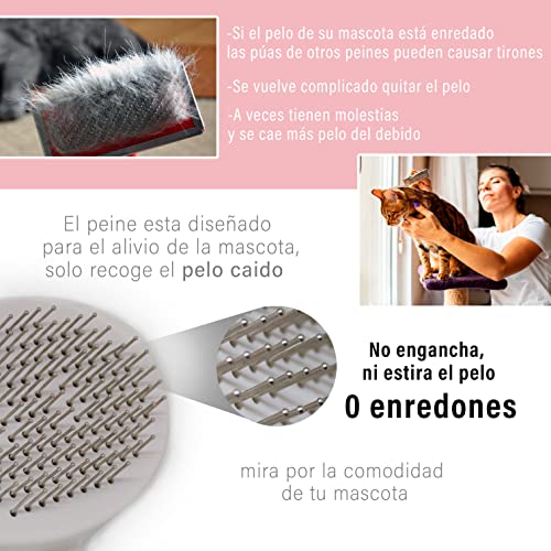 Kit Cepillo para Perros y Gatos + Esponja Aseo Masaje - Púas muy Suaves - Solo Quita el Exceso - No Daña, No Arranca ni estira - Masaje Cepillo Limpiador, Auto limpiante Peine de Aseo para Mascotas