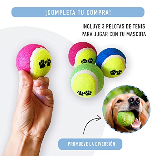 Kit de Comedero Doble de Acero Inoxidable más Pelotas de Juguete para Perros Pequeños y Medianos. Tazón Doble para Comida y Agua para Mascotas y 3 Pelotas de Tenis. (Azul)