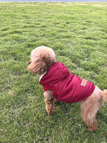 Komate Chaqueta de Invierno cálido para Perros Abrigo Grueso de Invierno Chaleco de Tela para Perros pequeños medianos Grandes (S (tamaño del Pecho 40 cm), Rojo)