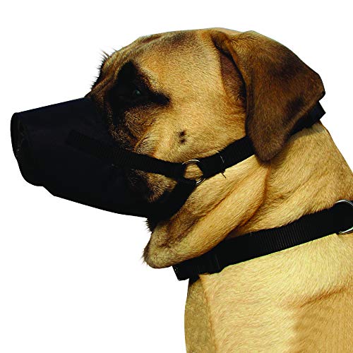 Kumfi Canine Kumfi - Bozal de Seguridad (Talla XL)