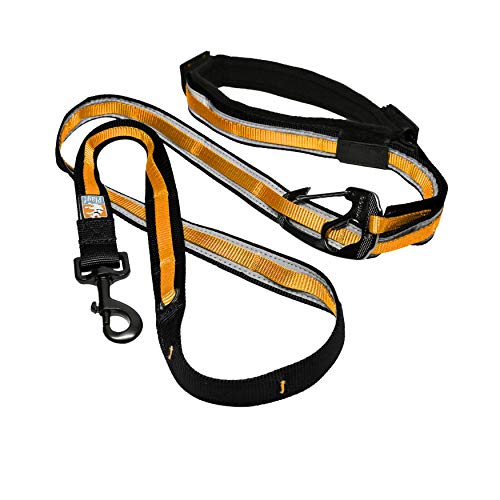 Kurgo Quantum - Correa Manos Libres para Perro, Correa de Cintura para Correr, Ajustable, Reflectante - Naranja/Negro