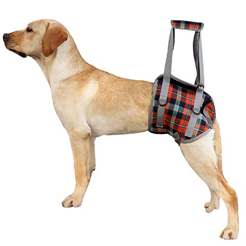 KZOBYD Arnés para perro de pierna trasera, ayuda para caminar, apoyo para mascotas, piernas, chaleco de soporte ajustable para la cadera para perros viejos y heridos (naranja, XL)