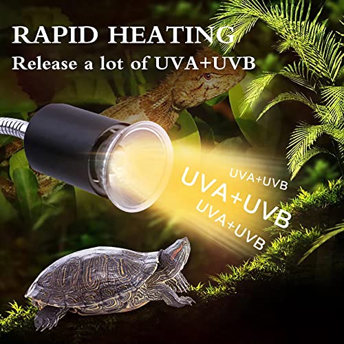 Lámpara para Tortuga,Luz Tortugas de Agua,Lámpara de Calor de Reptil con Clip,con 2 Bombillas UVA UVB de 25 W y Abrazadera Giratoria de 360 °Adecuada, para Tortuga, Lagartos, Serpientes, Camaleones