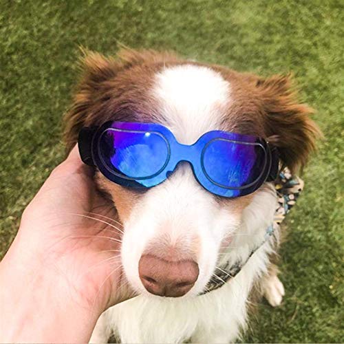 LANZHEN-RY Gafas de Perro Gafas de Sol para Perros de Mascotas Gafas Ajustables Gafas de Sol para pequeños Perros Grandes Gafas de Gafas al Aire Libre Perrito Perrito Cachorro Mascota para Mascotas