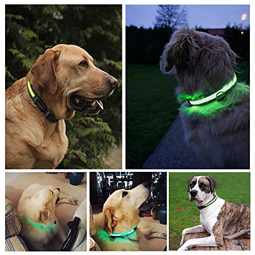 LaRoo LED Collar de Perro LED, Intermitente Llevó Collar de Seguridad para Perros LED Nylon Luminoso Impermeable Que Brilla Recargable Collar Brillante para Los Perros (L-50-60CM)