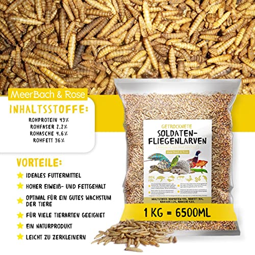 larvas de mosca de soldados Black Soldier Fly secadas, 1 kg (equivalente a 6,5 litros) alimento en bolsa, el snack rico en proteínas para aves silvestres, peces, reptiles, tortugas y erizos.