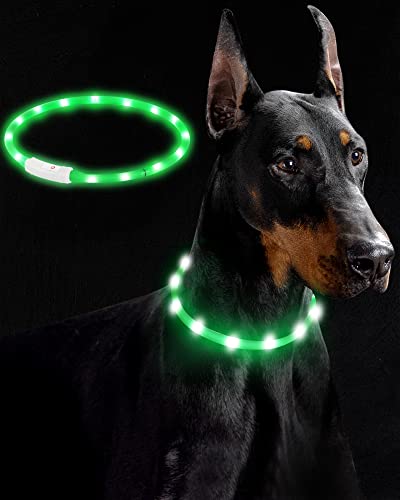 LED Collar Perro Collar de Seguridad, Collar de Perro de Mascota, Collar Luminoso Perro de Mascota, USB Recargable Collar de Seguridad para Mascotas Impermeable hasta (Verde)