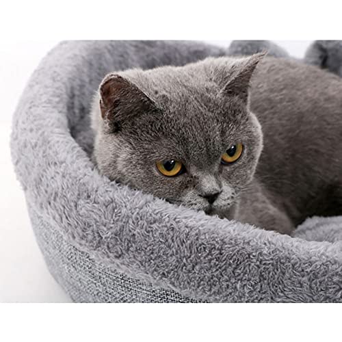 LIANGLIANG Corazón Cama para Gatos por Interior Gatos Portátil Suave Amortiguar Perro Cama Calmante, Casas para Gatos, Cama de Gatito, Suministros de Mascotas, Anti-Deslizante Fondo