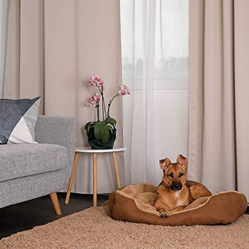 lionto Cama perros cojín perros cesta perros con cojín tamaño (L) 75x60 cm beige/marrón