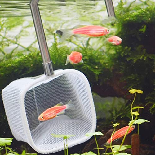 Liwein 3 pcs Redes de Peces de Acuario Pequeña Redes Telescópicas Red de Pesca Extensibles con Mango de Acero Inoxidable Red de Aterrizaje de Pesca para Niños Acuario