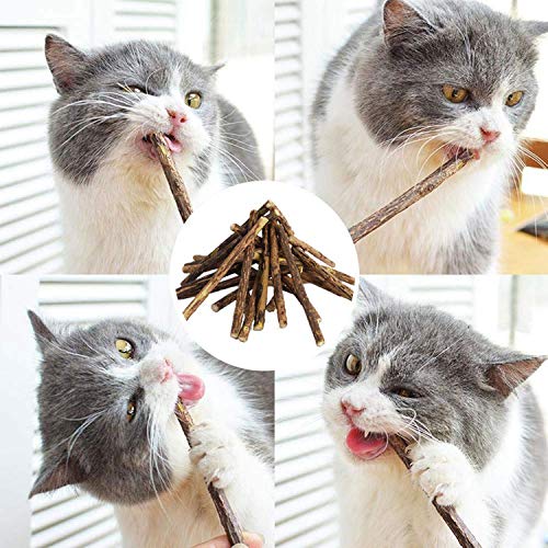 LIZHIGE 30 Palitos Naturales Catnip Gatos, Juguete para morder para Gatos 100% orgánico Natural Matatabi Dental Treats, Limpieza Dientes Saludable Cuidado y ayudan con el sarro y el Mal Aliento