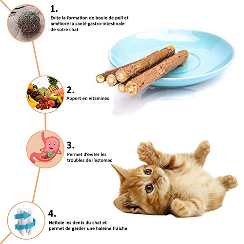 LIZHIGE 30 Palitos Naturales Catnip Gatos, Juguete para morder para Gatos 100% orgánico Natural Matatabi Dental Treats, Limpieza Dientes Saludable Cuidado y ayudan con el sarro y el Mal Aliento