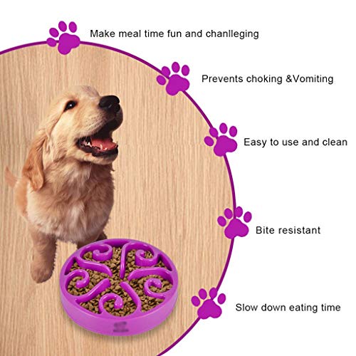 LOFAMI Comederos Anti-desbordamiento Alimentador Lento para Perros Bloat Stop Tazones de Comida para Perros Laberinto Antideslizante Cat Dog Pet Bowls Pet Fun Feeder Bowls Platos para Perros