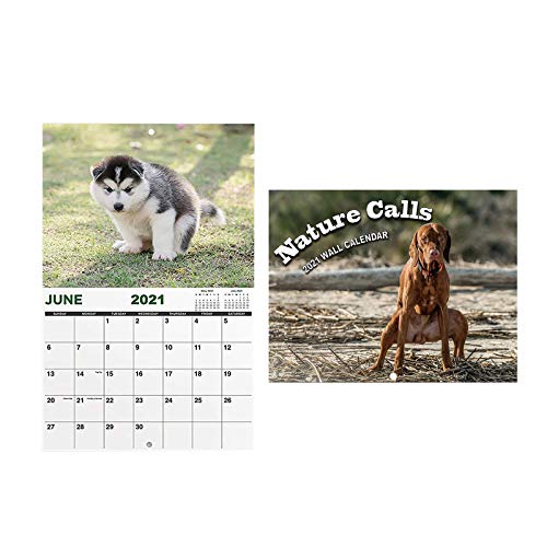 Lucidting Calendario de Perros de Caca, planificador de Pared de Llamadas de Naturaleza para Perros, Regalo Divertido para Amantes de los Perros (A, 14 * 21cm)