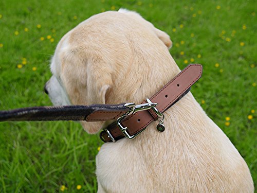 Lujoso Collar de Perro de Piel Rosewood de Cuadros Tweed Escoceses