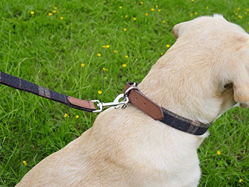 Lujoso Collar de Perro de Piel Rosewood de Cuadros Tweed Escoceses