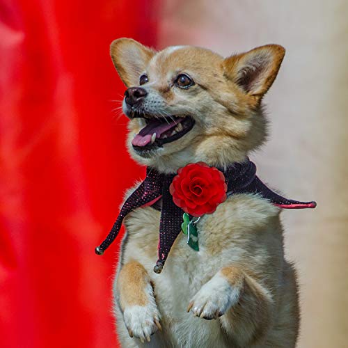 LUTER 4 Piezas 8cm Flores para Collar De Mascotas, Accesorios para Colgantes Florales, Adorno Floral Desmontable, paraSuministros para Mascotas (Rojo Rosa, Rojo Brillante, Naranja, Amarillo)