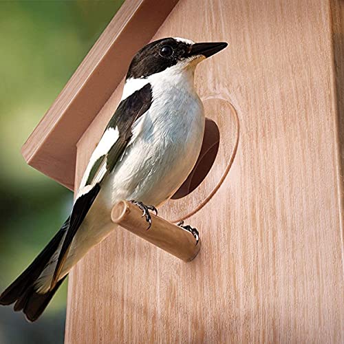 M3 Decorium Casa de Aves al Aire Libre en la Jaula de pájaros de Espejo con ventosas para observar la alimentación de Aves y la anidación