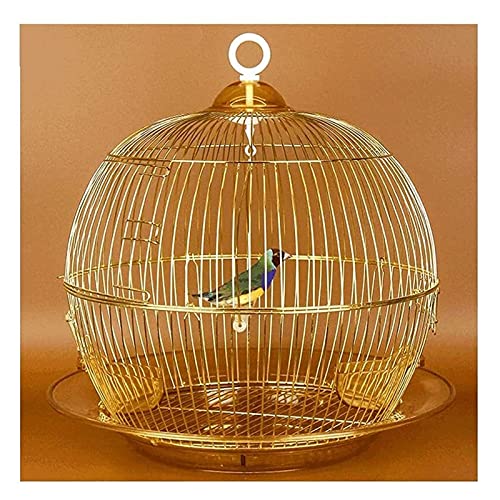 M3 Decorium Jaula de Vuelo de pájaro Redondo de Hierro Forjado con Jaula de pájaros portátil de alimentación de Swing y Vidrio para Viajes o Uso doméstico-Oro-Oro (Size : 15x15'')