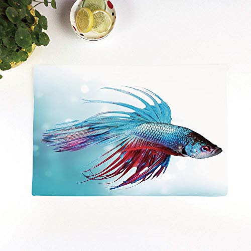 Mantelillos (juego de 4), lavables, antideslizantes,Acuario, pez Betta luchador siamés nadando en acuario Ani,30 x 45 cm resistentes al calor, antidesgaste, mantelillos para mesa de comedor, de cocina