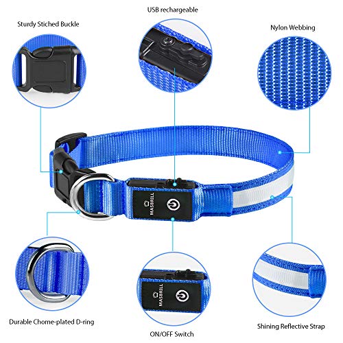 MASBRILL Collar Luminoso Perro de Mascota, 3 Modos Collar Perro Luz con Recargable y Impermeable, Ajustable Collares LED para Perros Pequeños/Medianos/Grandes(Azul L)