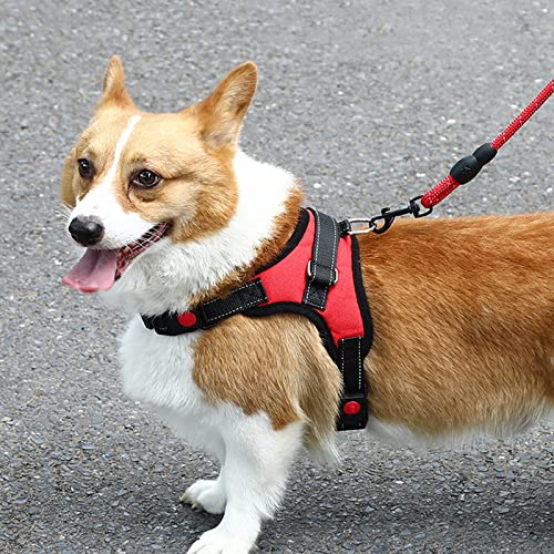 Mascota Correa para perros Arnés para el pecho de tracción Arrastre Chaleco a prueba de explosiones Collar para perros Suministros para perros Accesorios Productos para perros Gato Bulldog-Leopard, M