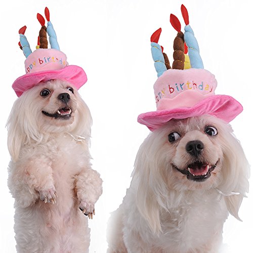 Mascota Perro Cachorro yunt gorro de fiesta, diseño de gato con cupcakes & 5 colorido perro de velas cumpleaños disfraz de cosplay Suministros