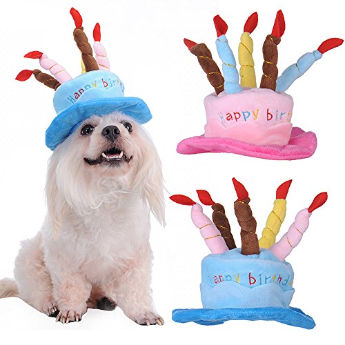 Mascota Perro Cachorro yunt gorro de fiesta, diseño de gato con cupcakes & 5 colorido perro de velas cumpleaños disfraz de cosplay Suministros