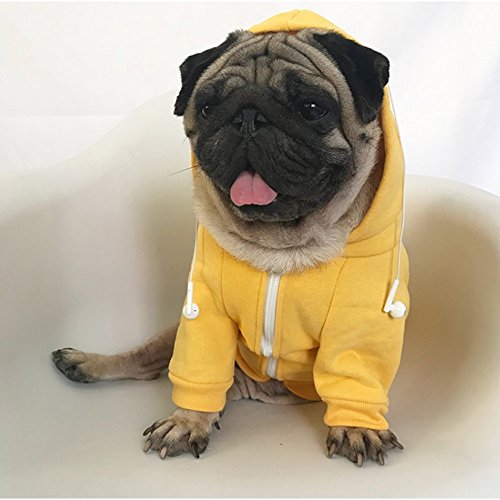 Meioro Cremallera con Capucha Ropa para Mascotas Ropa de Gato para Perros Ropa de Mascota Linda Abrigo Caliente con Capucha Bulldog francés (4XL, Amarillo)