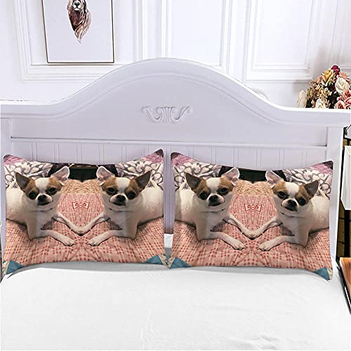 MENGBB Juego de Cama Infantil 100% Microfibra Animales Mascotas Perros 155X200cm Funda Edredón Cama 150 100% Microfibra