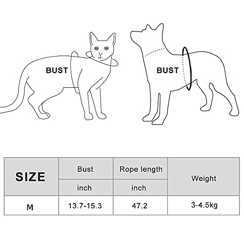 MHwan arnes Gatos antiescape, Correa para Gatos, Arneses de Chaleco para Perros a Prueba de Fugas Tiras Reflectantes Ajustables para Entrenamiento al Aire Libre de Perros y Gatos (M, Gris)