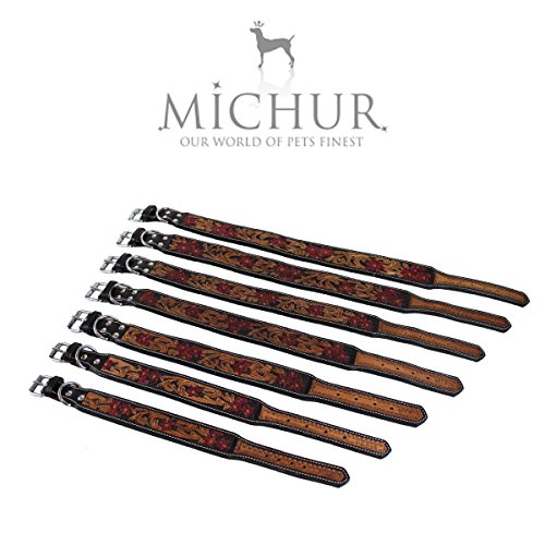 MICHUR Flora Collar de Perro de Cuero, Collar de Perro de Cuero, Collar, Negro Rojo marrón, Cuero, con patrón Floral Rojo, Disponible en Diferentes tamaños, Collar Cuero