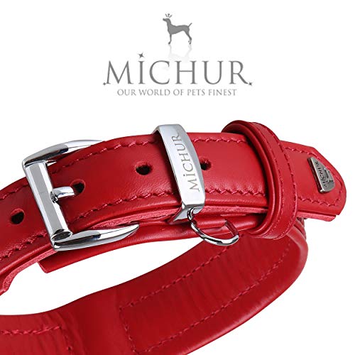 MICHUR Velvet Collar de Cuero de Terciopelo para Perro de Cuero para Perro Collar de Cuero Negro con Diamantes de imitación de Lirios y Cristal Grande Disponible en Diferentes tamaños