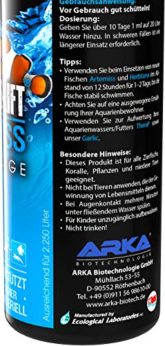 MICROBE-LIFT Artemiss - Estimulante inmunológico para Peces para acuarios de Agua Dulce y Salada, Producto de Cuidado a Base de Hierbas, Potencia y fortalece el Sistema inmunológico