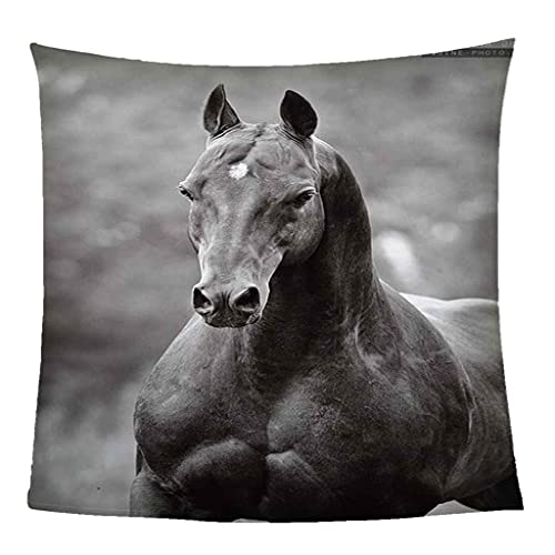 MIJYLD Manta de Felpa de Franela Caballo Animal Negro Manta 3D Manta de Forro Polar Gruesa Cálida y Esponjosa Manta para el hogar y de Viaje, Manta para sofá Cama, Fácil de cuidar 70x100 cm