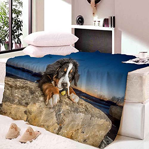 MIJYLD Manta de Felpa de Franela Perro Animal Blanco y Negro Manta 3D Manta de Forro Polar Gruesa Cálida y Esponjosa Manta para el hogar y de Viaje, Manta para sofá Cama, Fácil de cuidar 100x130 cm